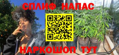 амф Камышлов