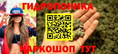 амф Камышлов