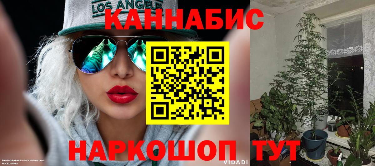 Шишки марихуана семена Лабытнанги